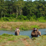chitwan-jungle safari